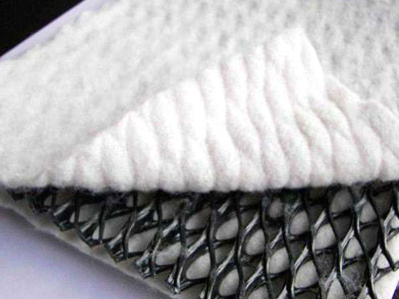 三维复合排水网 三维复合排水网